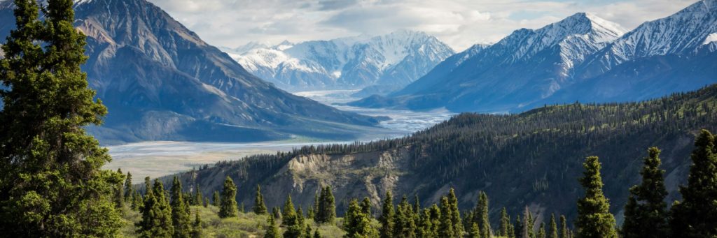 Services Bg 1024x341